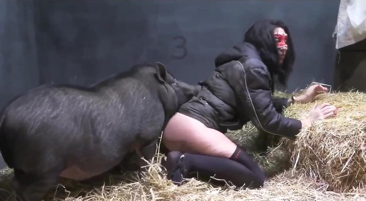 Corset wearing thot getting fucked by animals