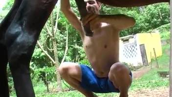 Bare lady experiments with enormous equine dick in her pussy