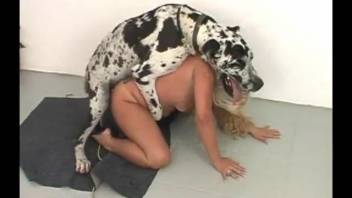 Sun-kissed tramp lets the dog pound her cunt in a wild home zoo setup
