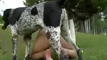 Canine penetrates female in the rear during stunning outdoor anal pornography