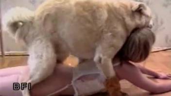 Lady in sexy underwear, incredible canine erotica xnxx bestiality live on webcam