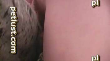 Nude guy recorded in his room while intensely screwing his canine in harsh styles