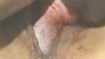 Up-close shot of a dog pounding a guy's anus
