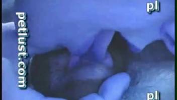 Filthy bestiality scene with intense anal intercourse and a canine