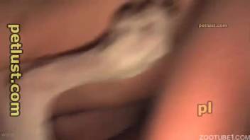 Guy messes around with the pup he picked up solely for banging