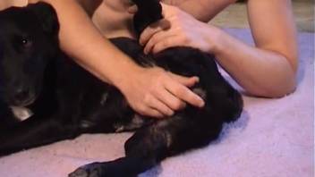 Dog getting pounded in the pussy while an aroused guy records the action