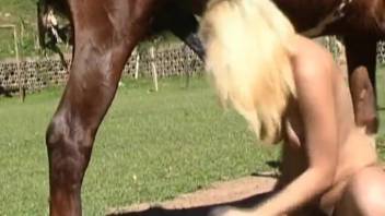 Huge shaft from a brown stallion barely slides into sexy girl's mouth