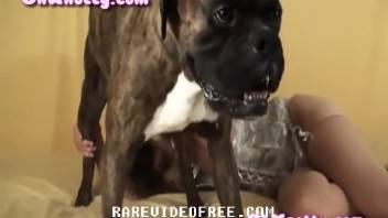 Filthy canine intercourse delight in savage beast triple-X smut