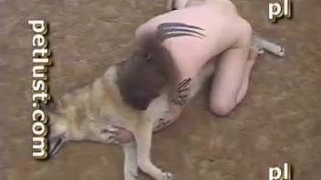 Homemade zoophilia video with a dog, starring an alluring dotted Dalmatian