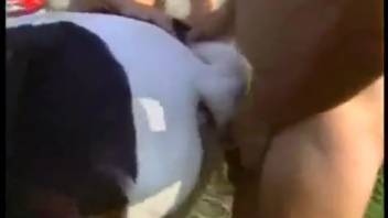 Stunning doggy-style banging with a skilled dappled mini horse