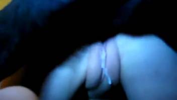 Homemade bestiality video featuring a woman having her vagina penetrated by a dog