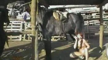 Slender attractive woman revels in explicit horse bestiality on the farm