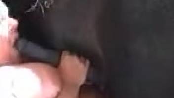 Brunette mature vixen deepthroating that massive beast dick skillfully