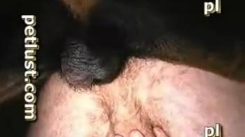 Ebony canine sodomized by utterly deviant master