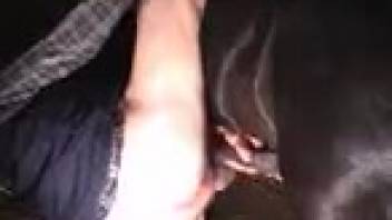 Handsome ebony horse penetrated an aroused animal enthusiast directly in the stable