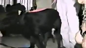 Petite Dalmatian attempts to bang a slim young blonde