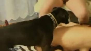 Desperate ladies sharing a single dog to fulfill their filthy bestiality cravings