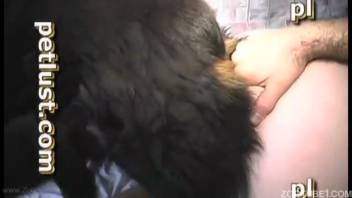 Adorable dark puppy and excited guy enjoy steamy animal intercourse porn