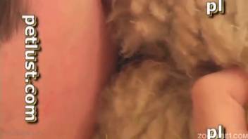 Ewe receives anal penetration from the rear by perverted agriculturist