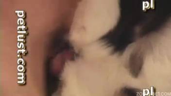 Horny pale creature has her snug rear entrance delightfully penetrated