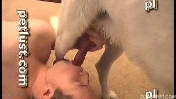 Pale pup with thick shaft receives oral from deviant animal enthusiast