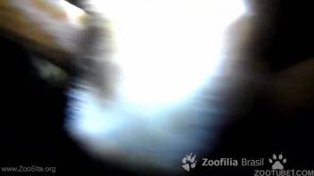 Incredible dappled stud receives an excellent manual stimulation on the ranch