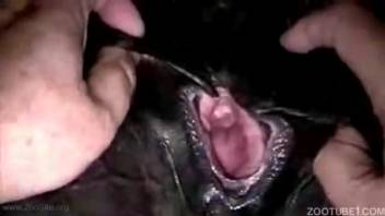 Guy with stiff dick smoothly fucks his hot bitch