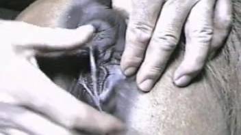 Soaked mature vagina being pounded by a horny guy