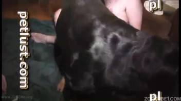 Guy enjoys pleasuring his pup by sucking it