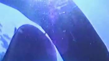 Submarine bestiality kink for a mischievous scuba girl 18+
