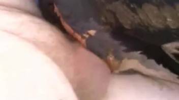 Well-endowed guy banging his female horse's snug pussy from the rear