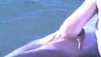 dolphin fuck