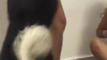 Pair of sluts getting pounded by a well-hung canine
