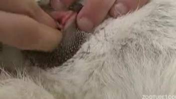Horny guy fingering a bitch's wet cunt on camera