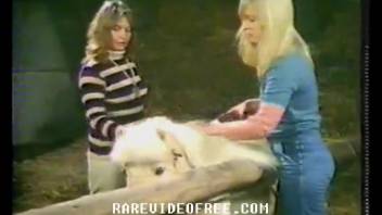 Bestiality footage featuring two bare sluts and a swine