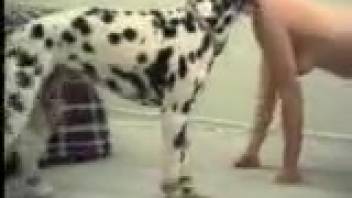 Naked lady captured on video while having pleasurable intercourse with her Dalmatian pet