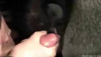 Guy ejaculates inside female horse