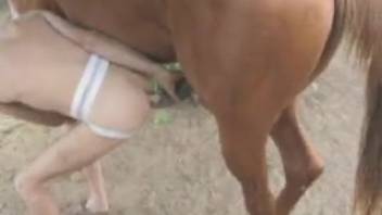 Stallion screws homosexual rear XXX