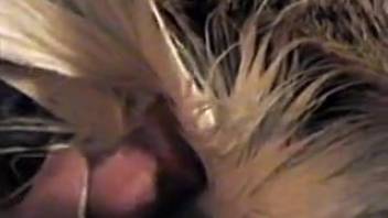 Guy stimulating his beloved pet's dripping vagina