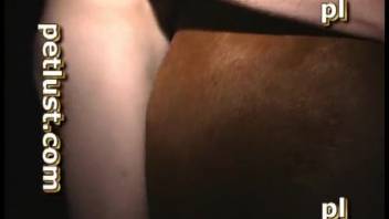 Horny guy banging a female horse's steamy cunt from the rear