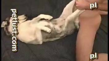 Aroused guy really wants to bang his dog in the butt