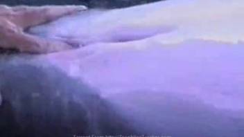 Guy wildly stimulates this dolphin's steamy vagina