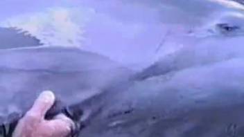 Guy chooses to finger-bang an ocean beast