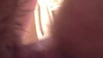 Ardent man penetrating his pet's snug vagina