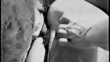 Monochrome footage of canine anally penetrating female