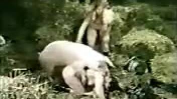 Dalmatian dog pounding a snug vagina, captured in close-up