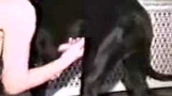 Ebony canine engages in intercourse with alluring lady from behind