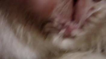 Intimate fingering clip: guy stimulates a sexy vagina