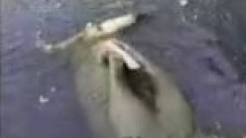 Extremely bizarre pointed cock of a damn hot ocean feline