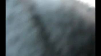 Bushy-dicked guy dominating a perverted beast from first-person view